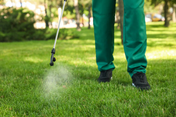Best Pest Control for Homes  in Long Branch, VA