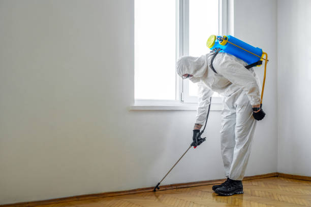 Best Pest Prevention Services  in Long Branch, VA