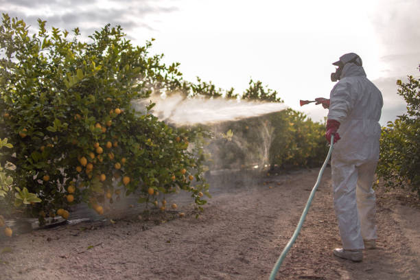 Best Pest Control Treatment  in Long Branch, VA